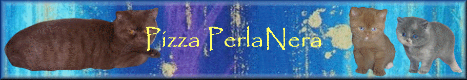 Pizza PerlaNera