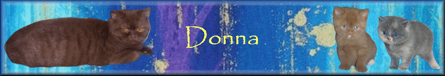 Donna