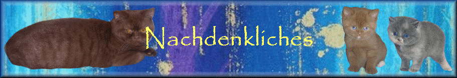 Nachdenkliches