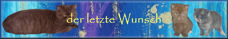 der letzte Wunsch